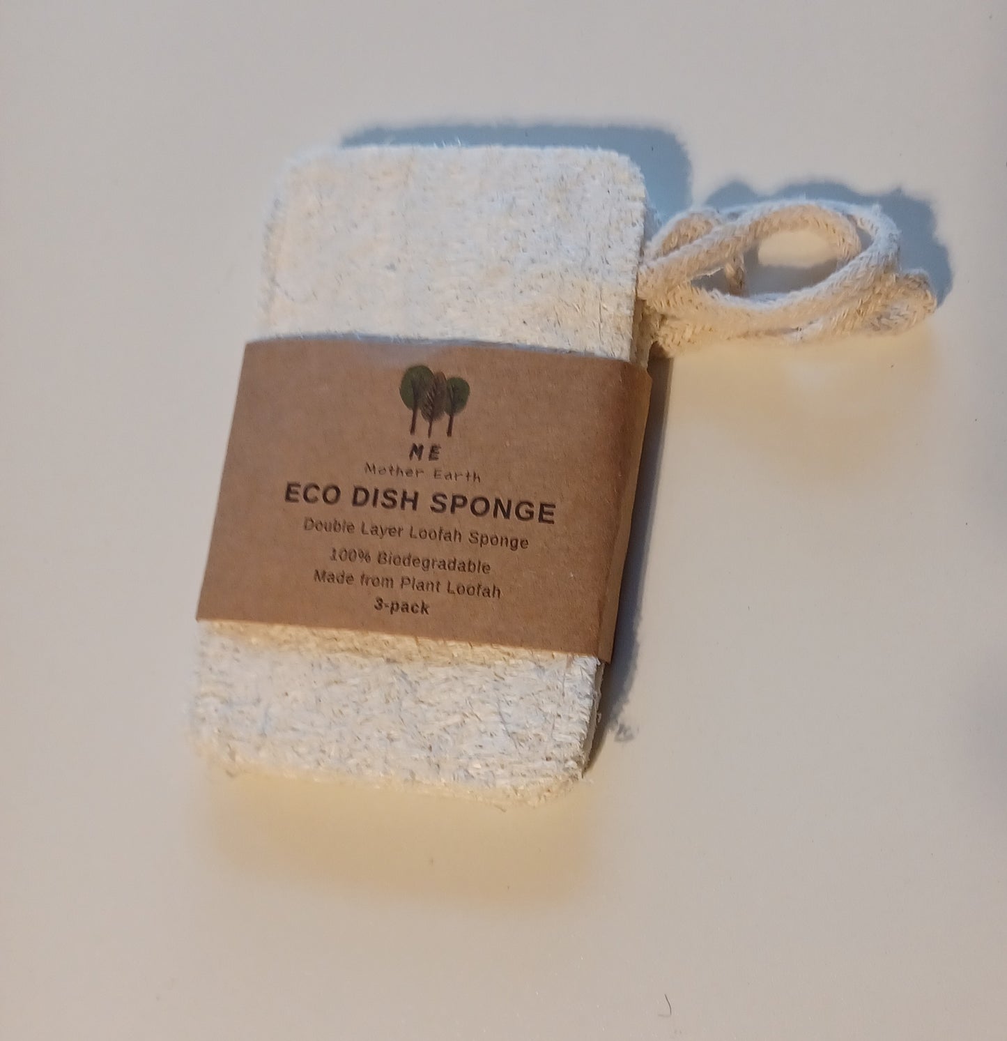 Eco Dish Sponge