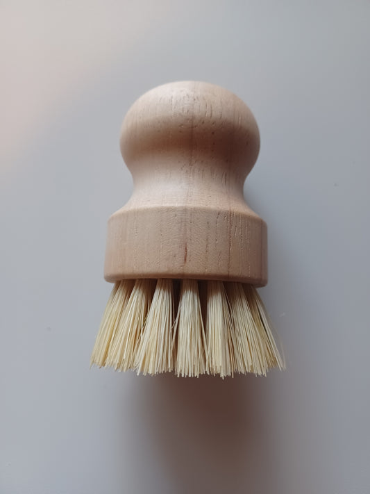 Dish Scrub Brush